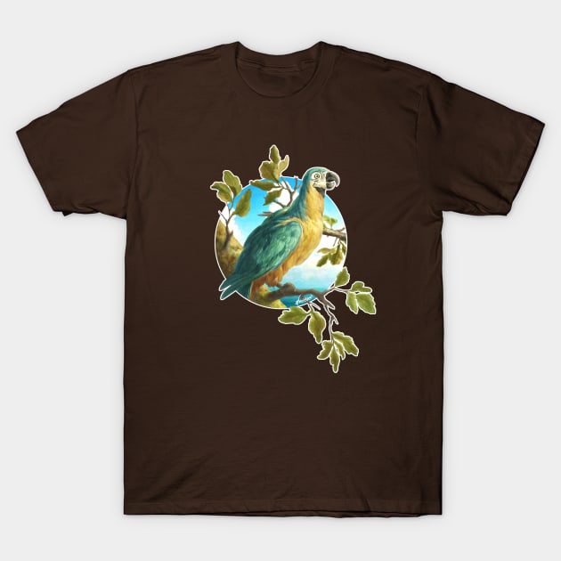 Parrot 1 T-Shirt by DVerissimo